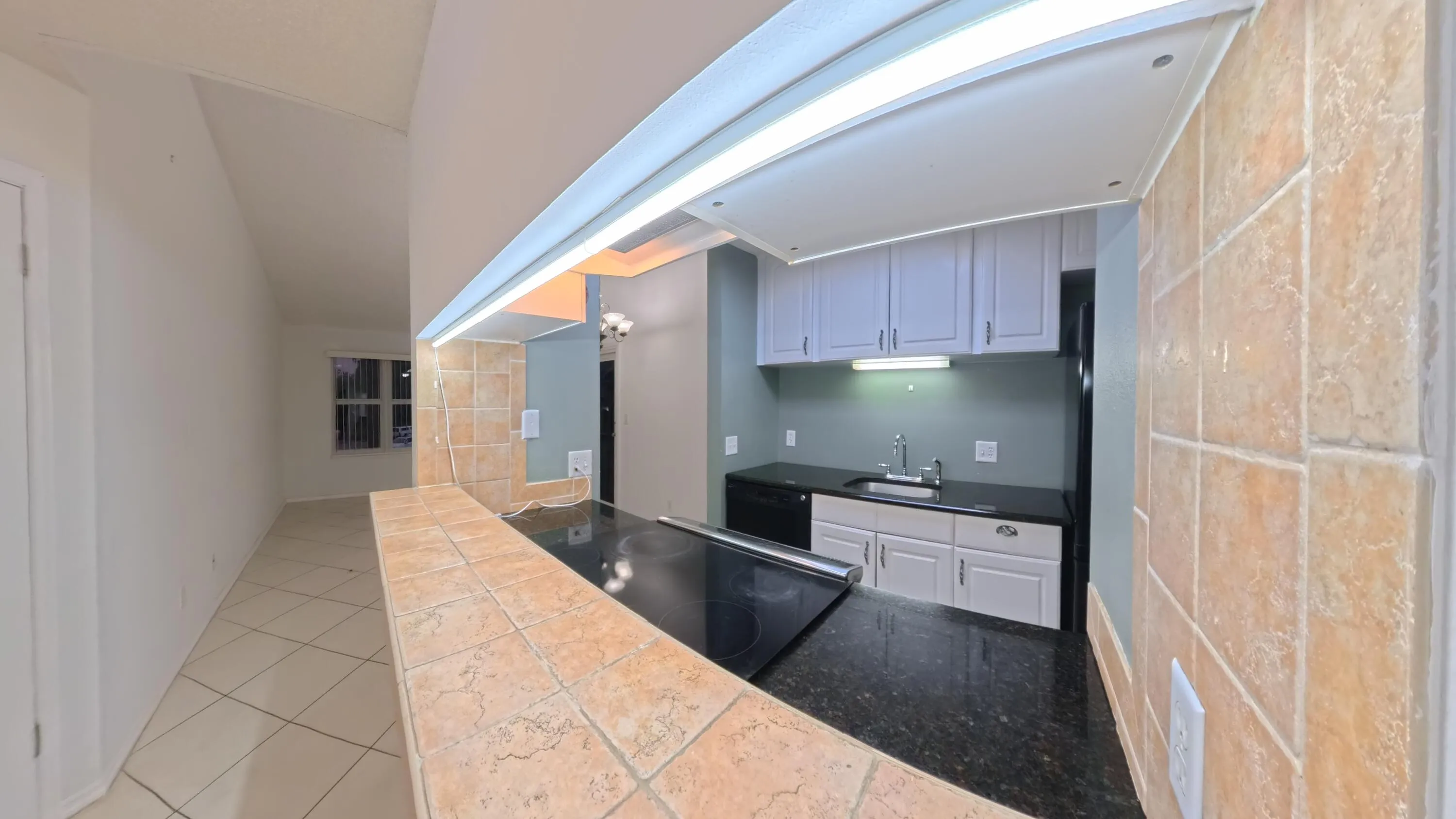 bar top and kitchen