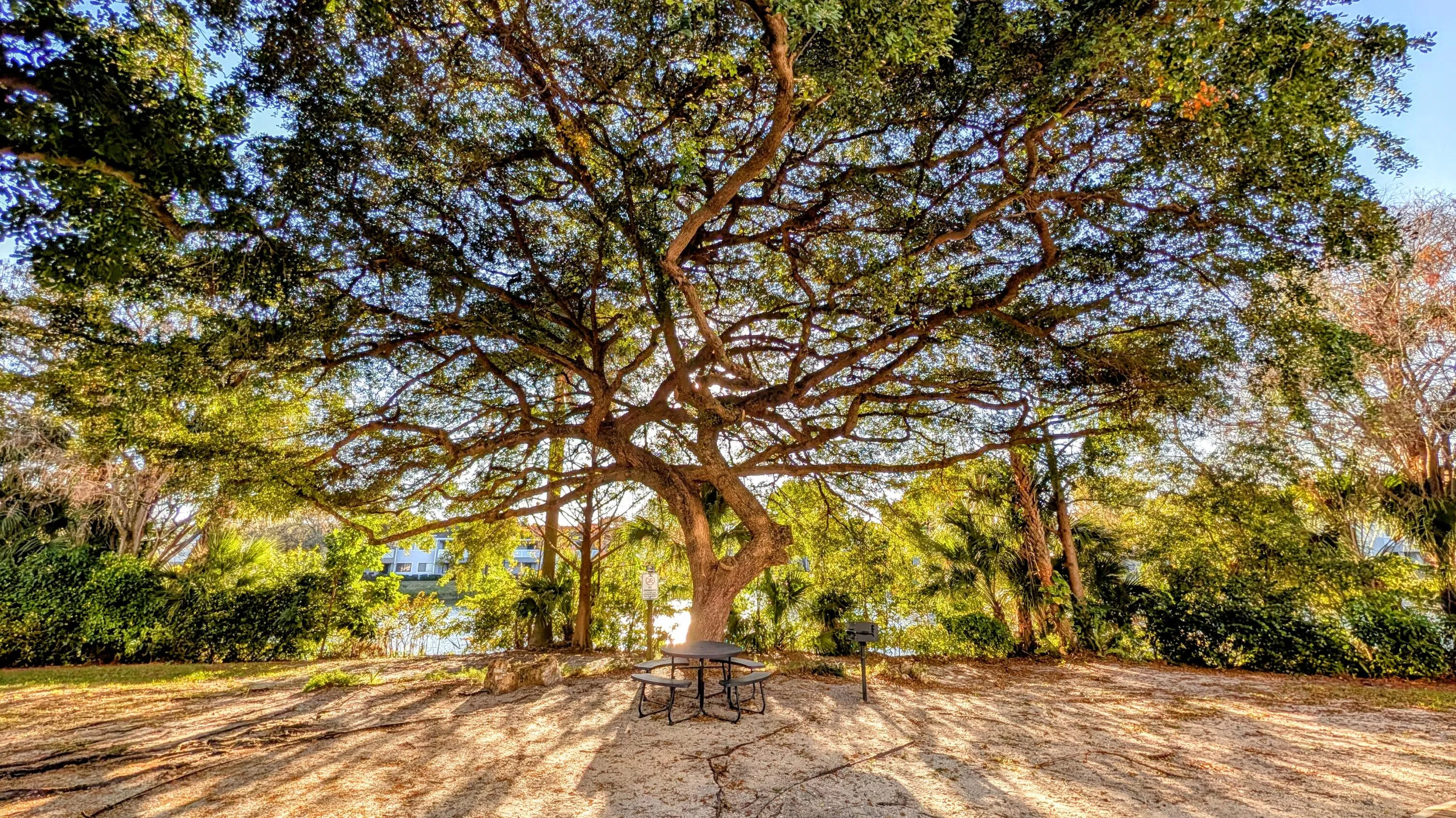 Picnic Area