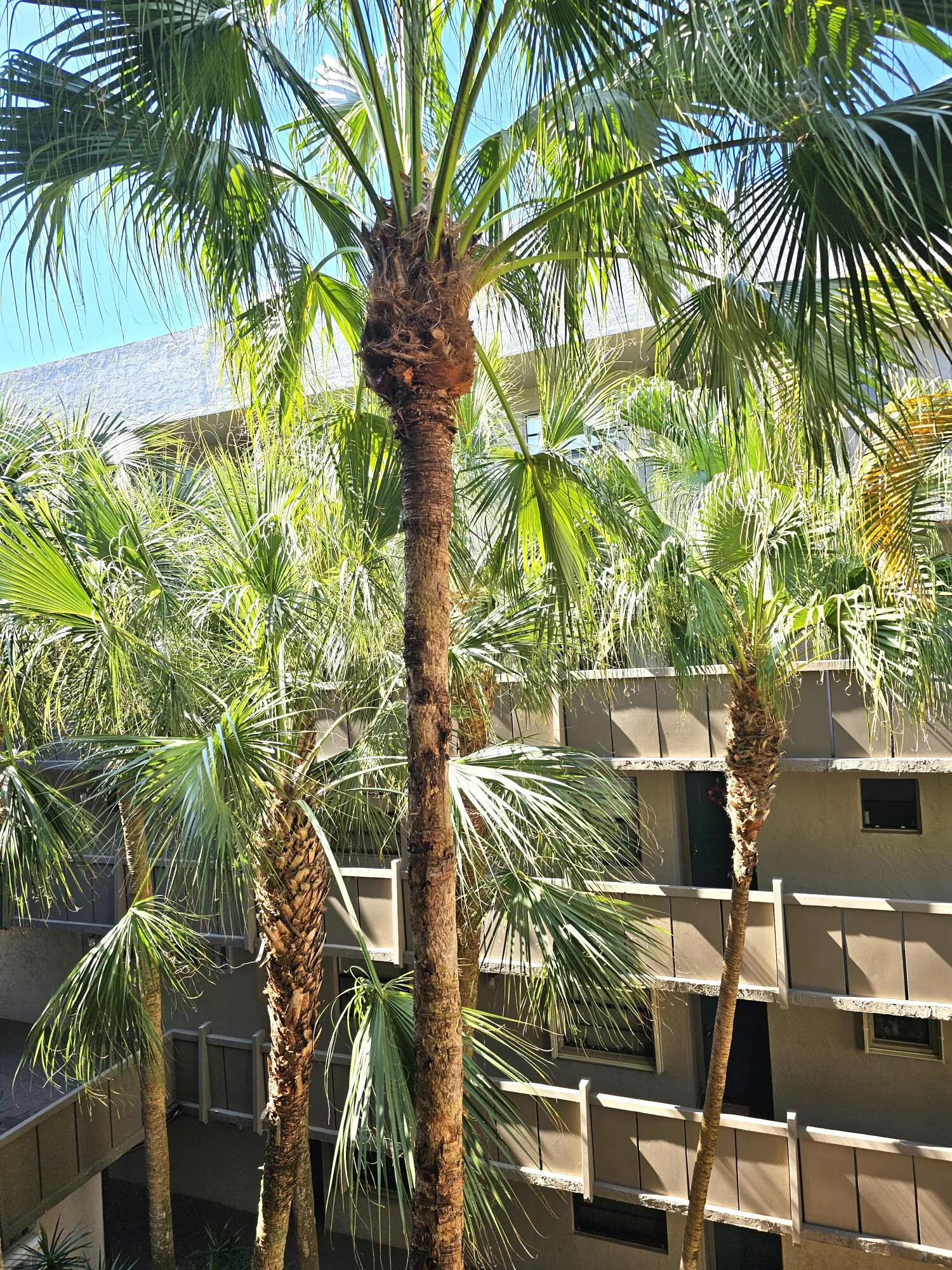 Garden View on 4th FL 1
