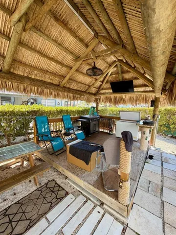 Tiki and BBQ Area