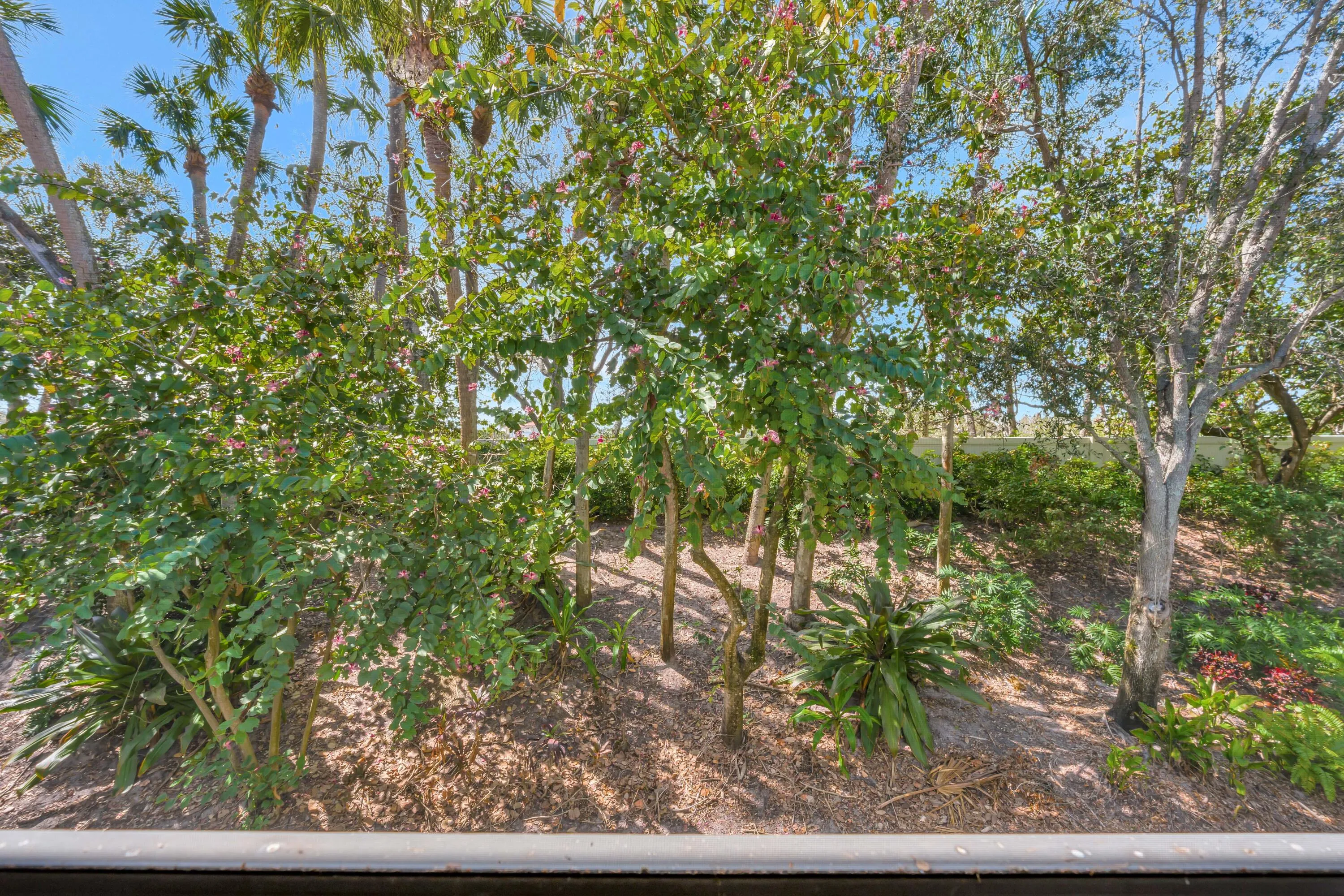 Property photo 61