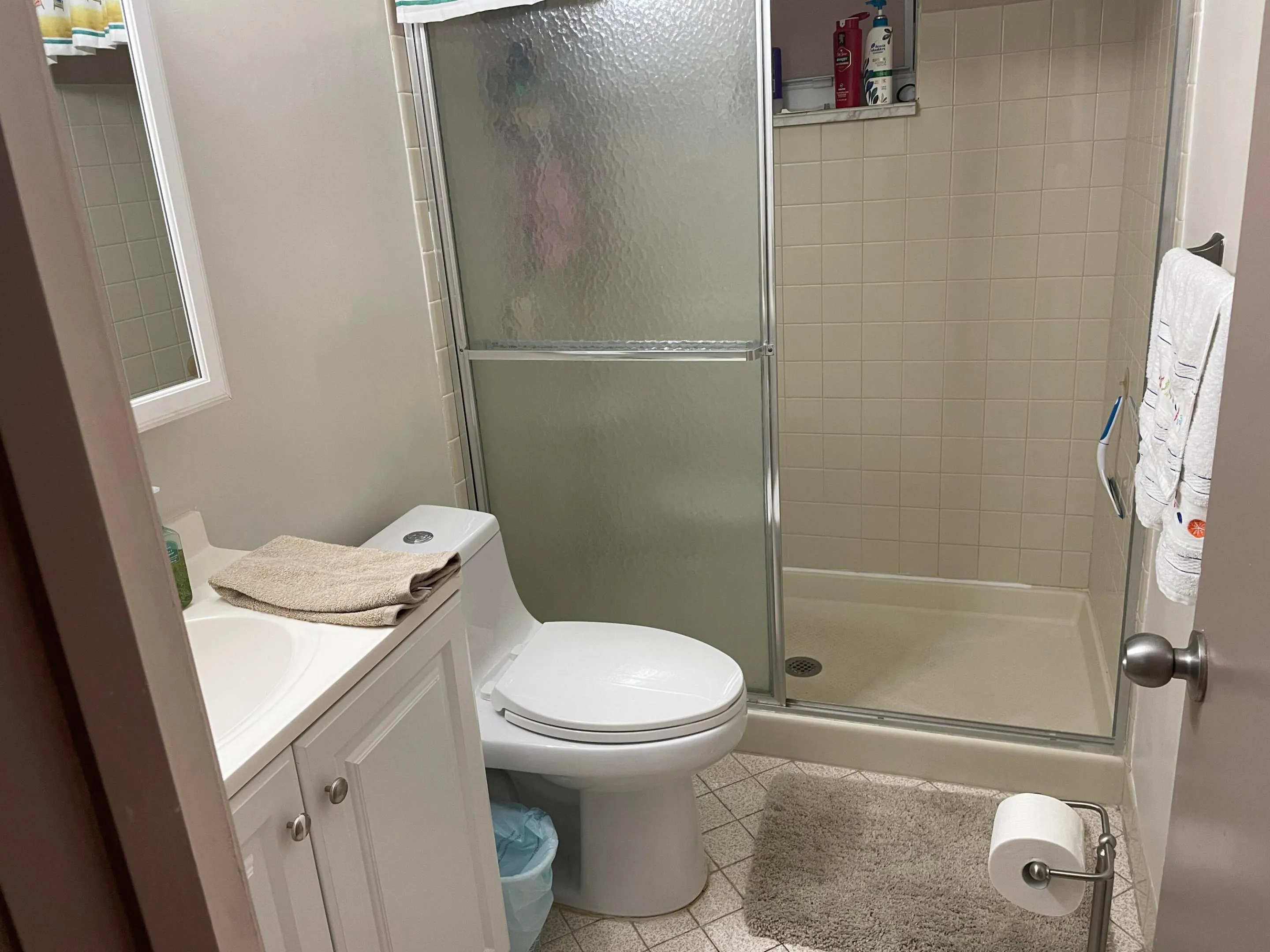 Shower in guest bath