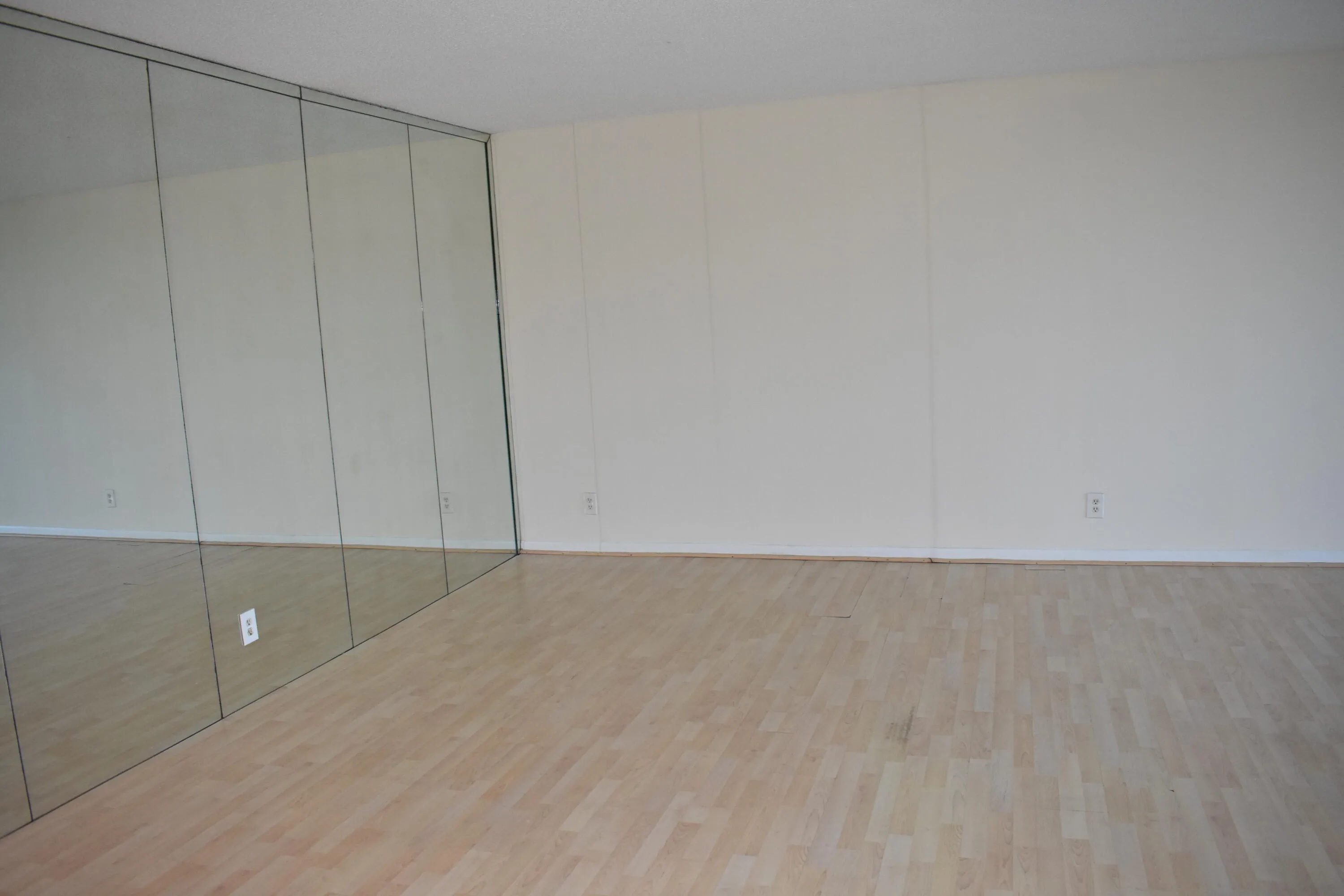 Dining Area with no furniture