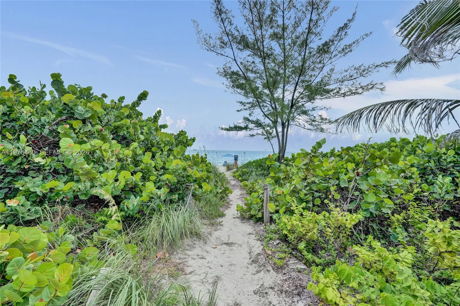 Entrance to the beach is steps from the front door of the unit