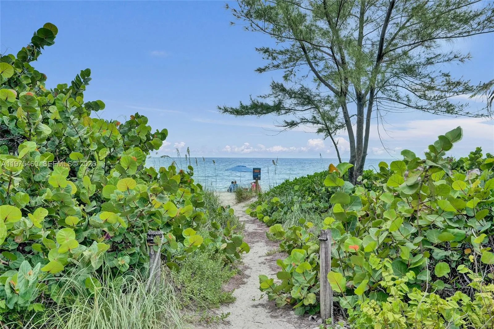 Entrance to the beach is steps from the front door of the unit