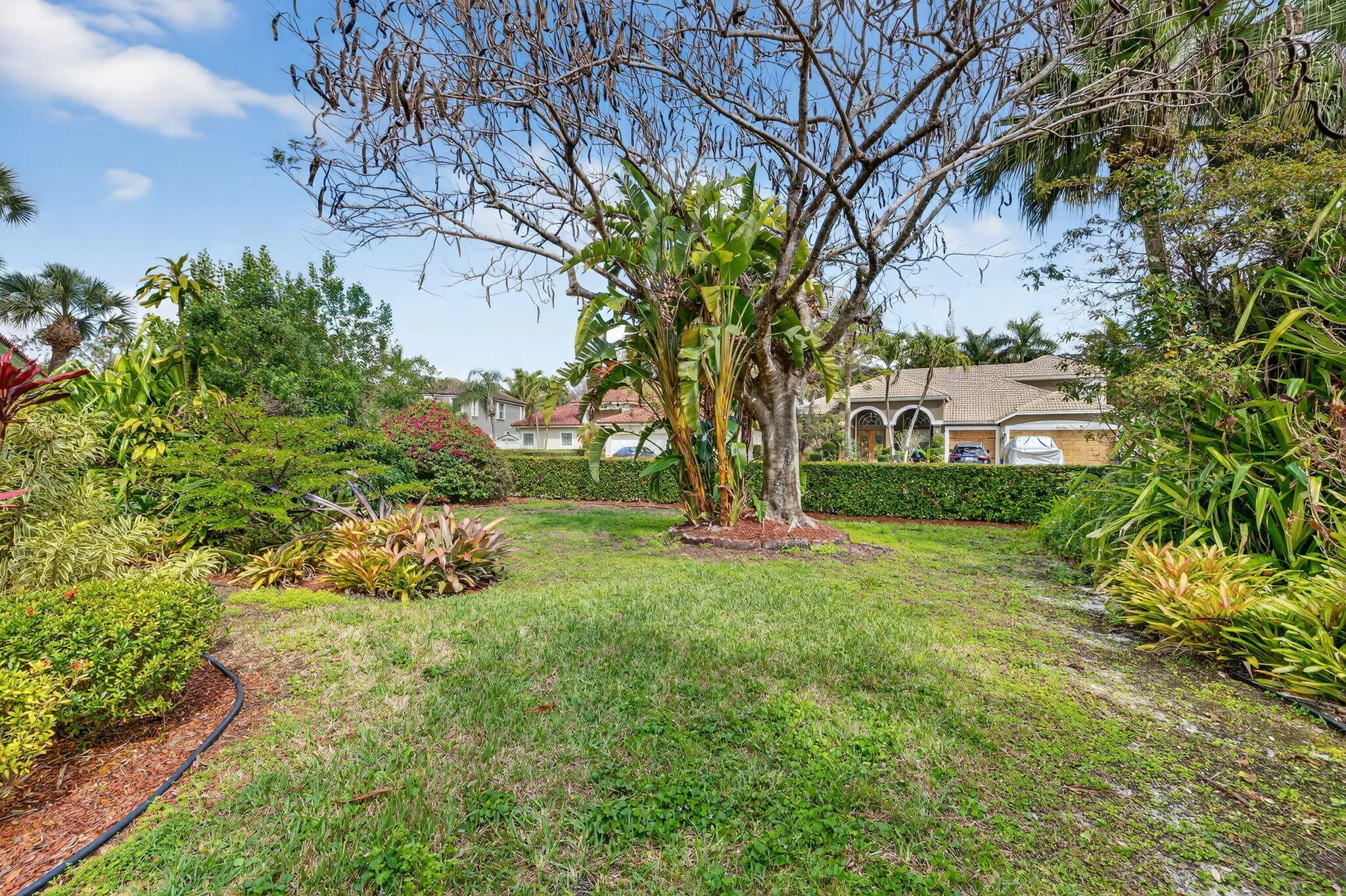 side yard