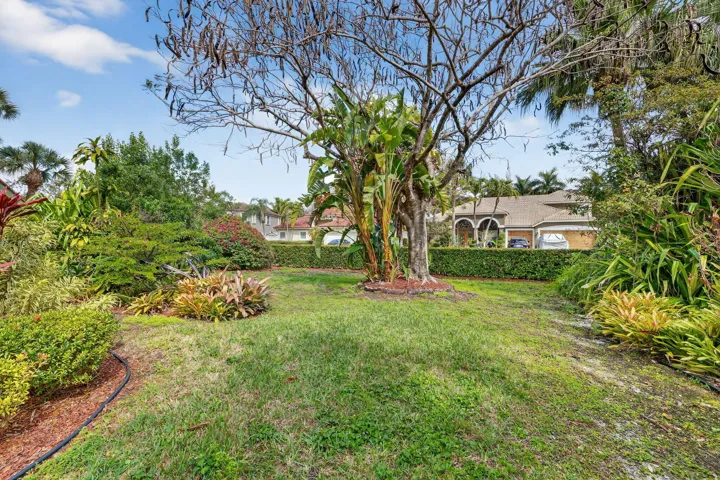 side yard