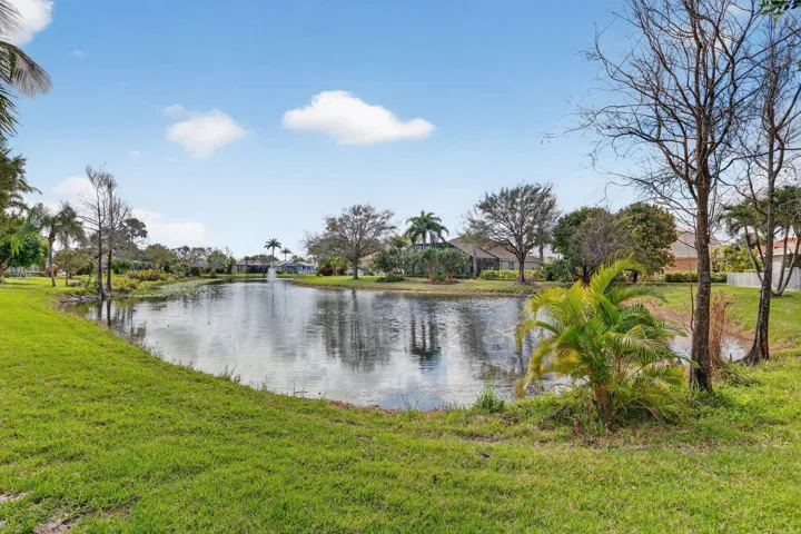 Lake view
