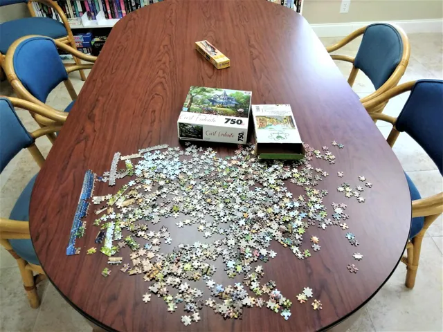 JIGSAW PUZZLES