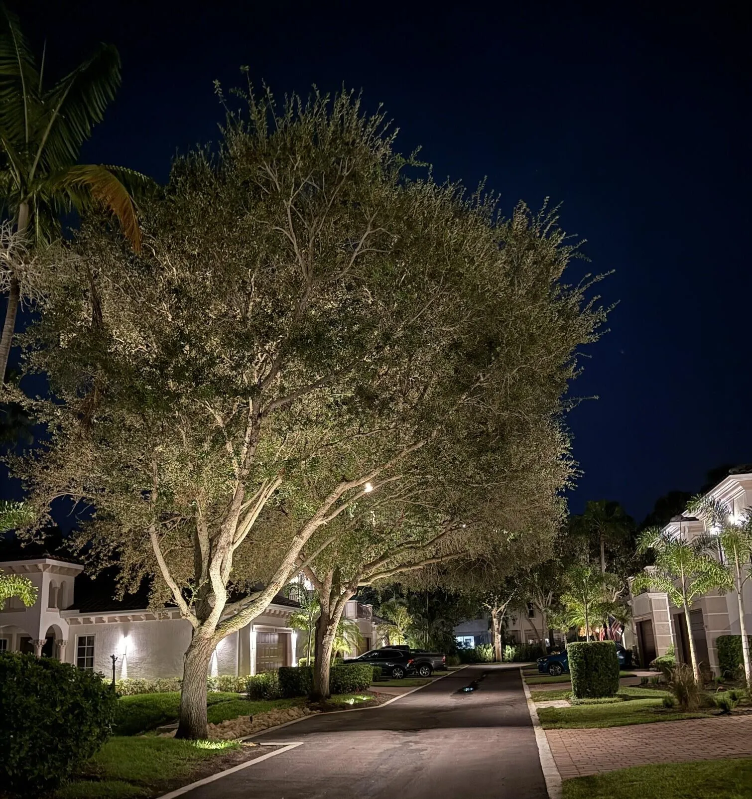 Night view Renaissance new lighting