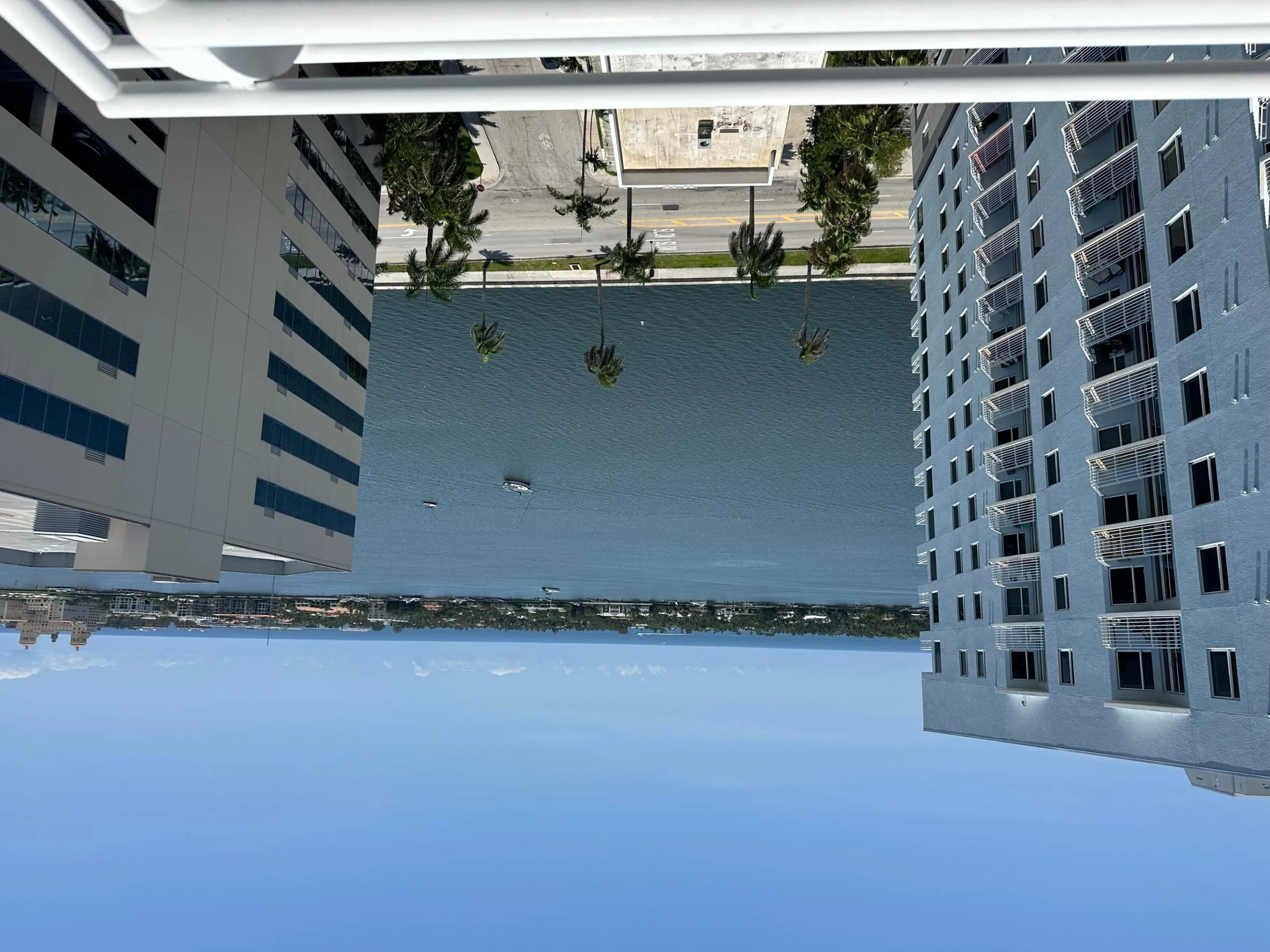 view