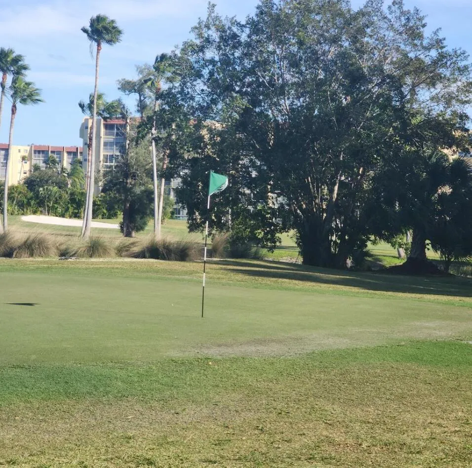 golf view