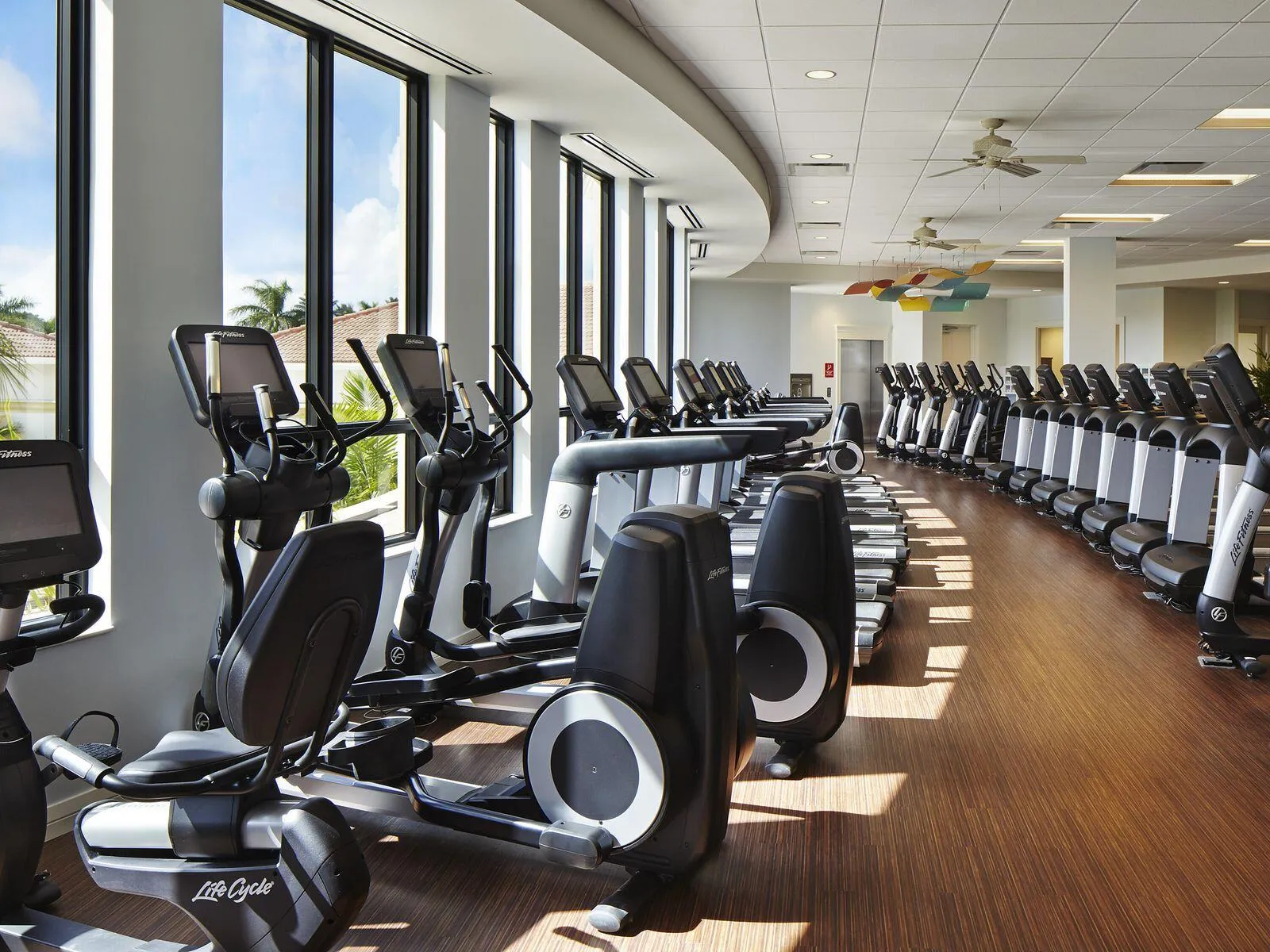 Cardio Machines