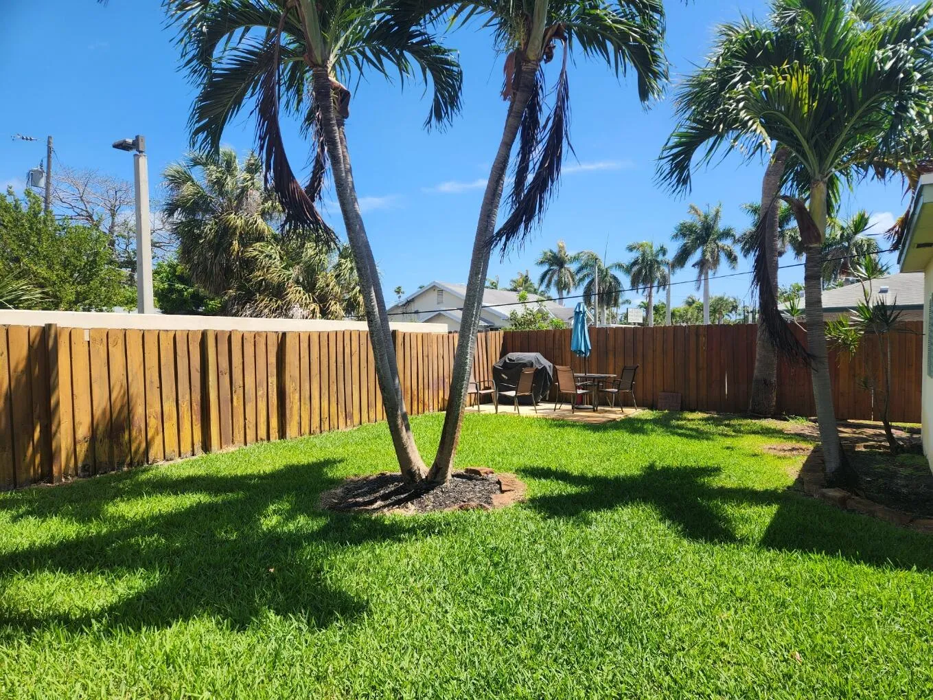 Back Yard.