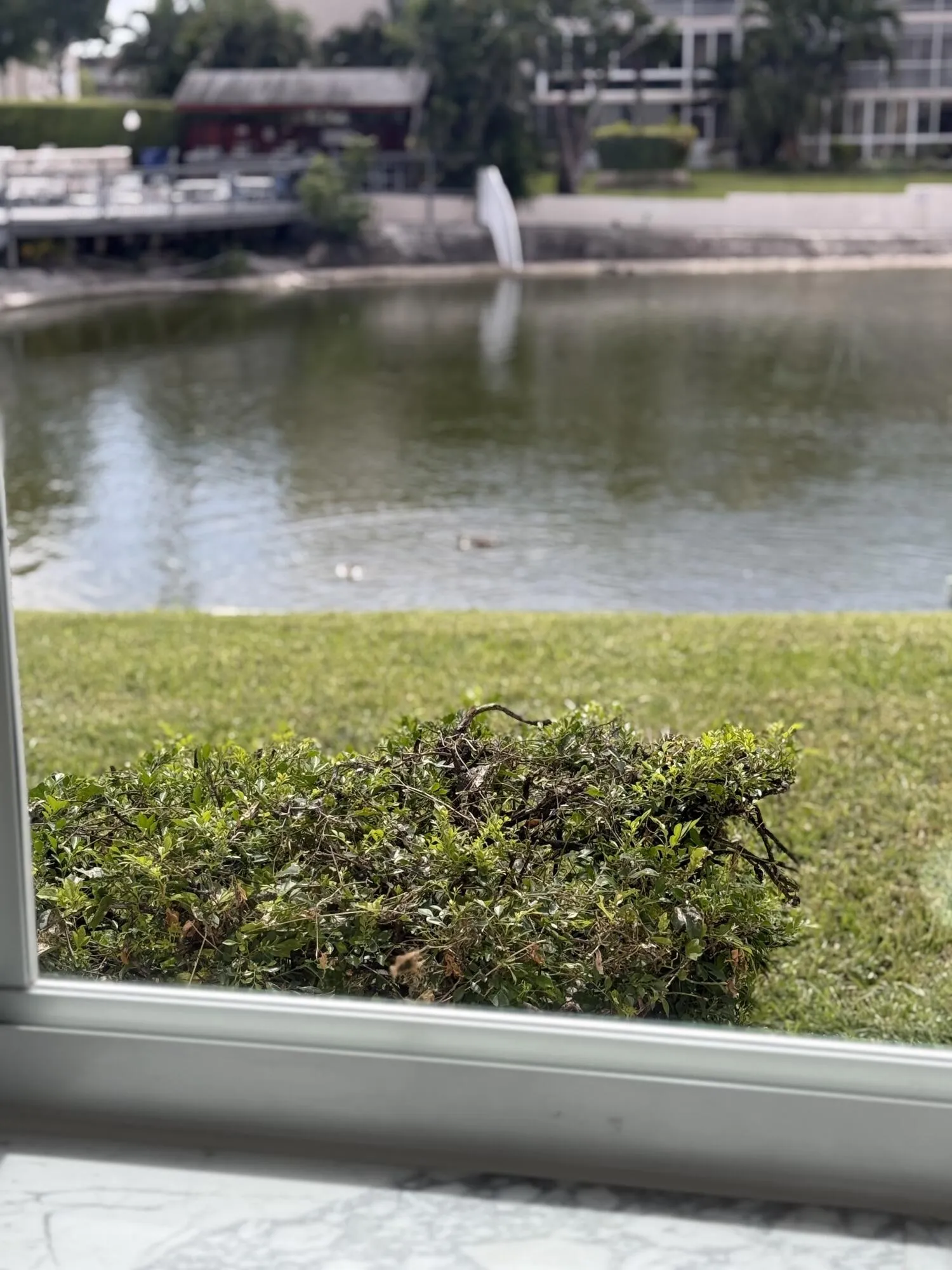 lake view