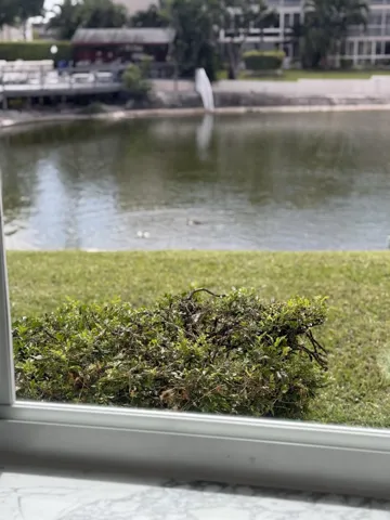 lake view