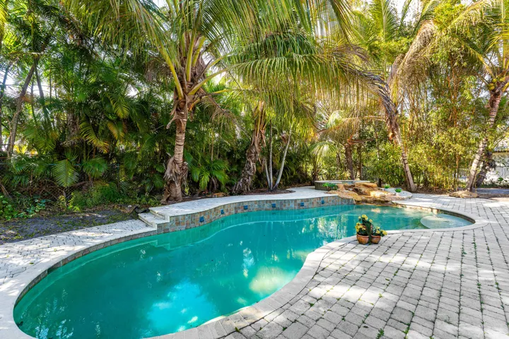 Pool and Spa