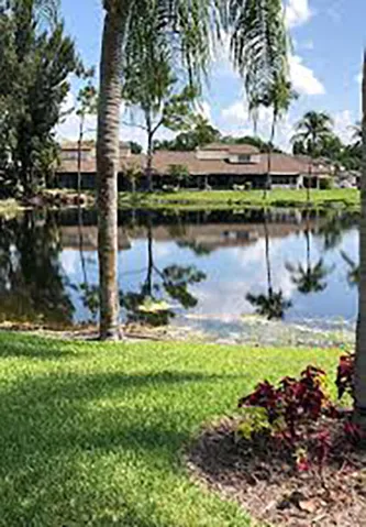 Neighbourhood