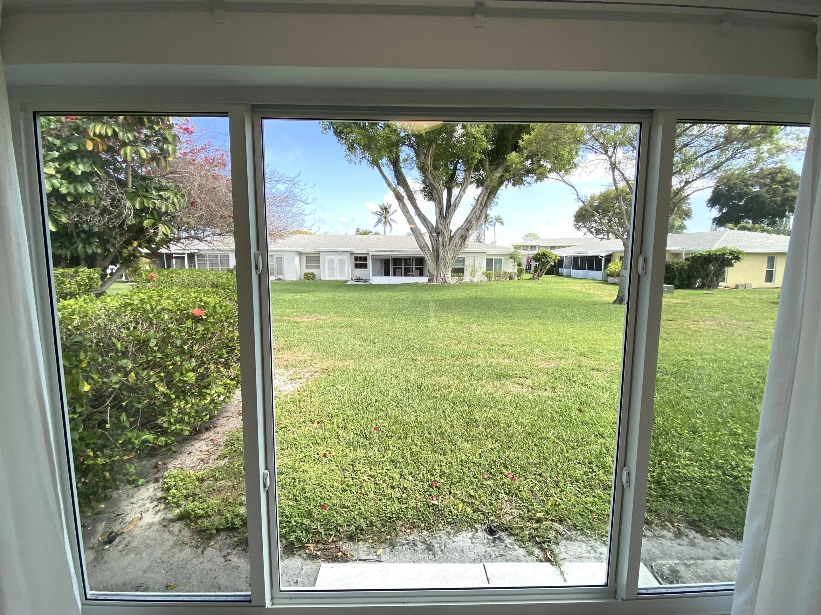 View out from FLorida room
