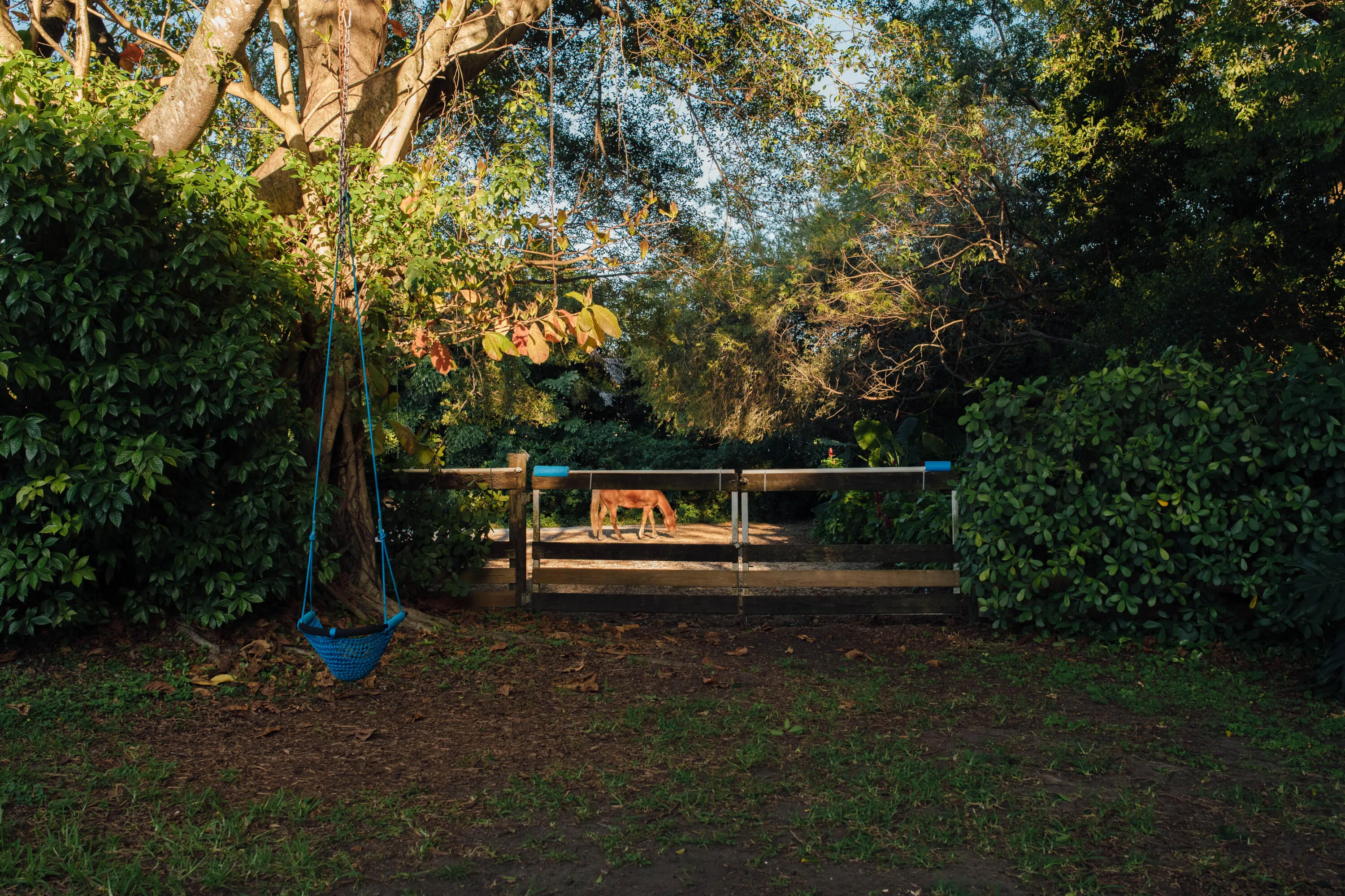 Property photo 58