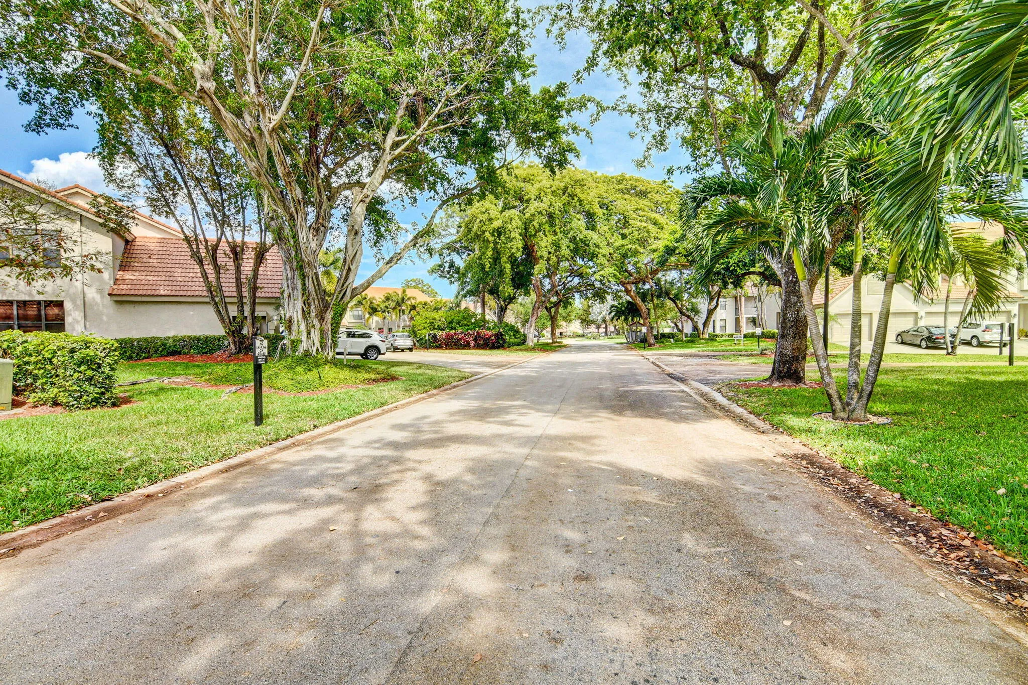 TREE LINED STREETS