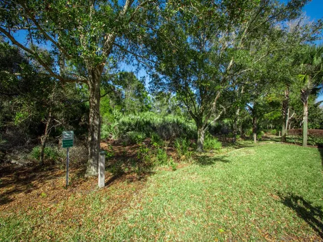 Back yard backs to a preserve.