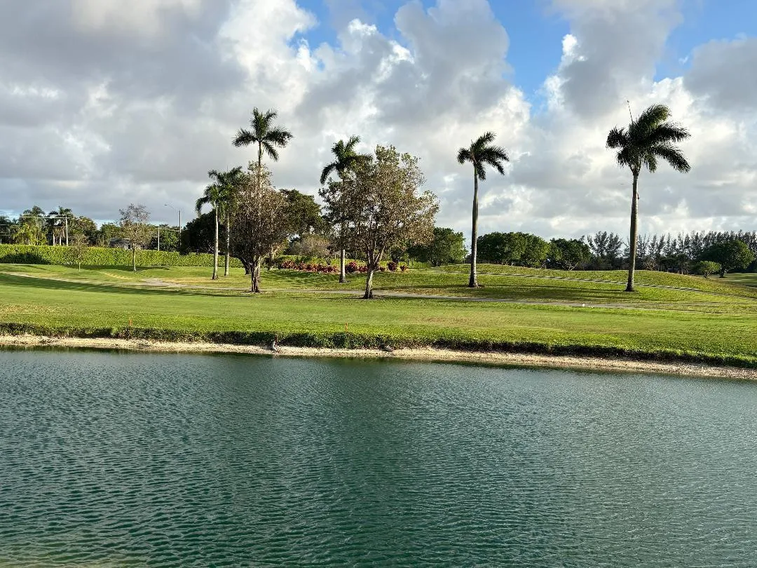 Another Pool View