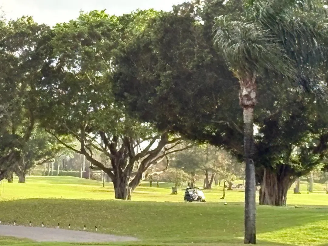 Golfers Paradise