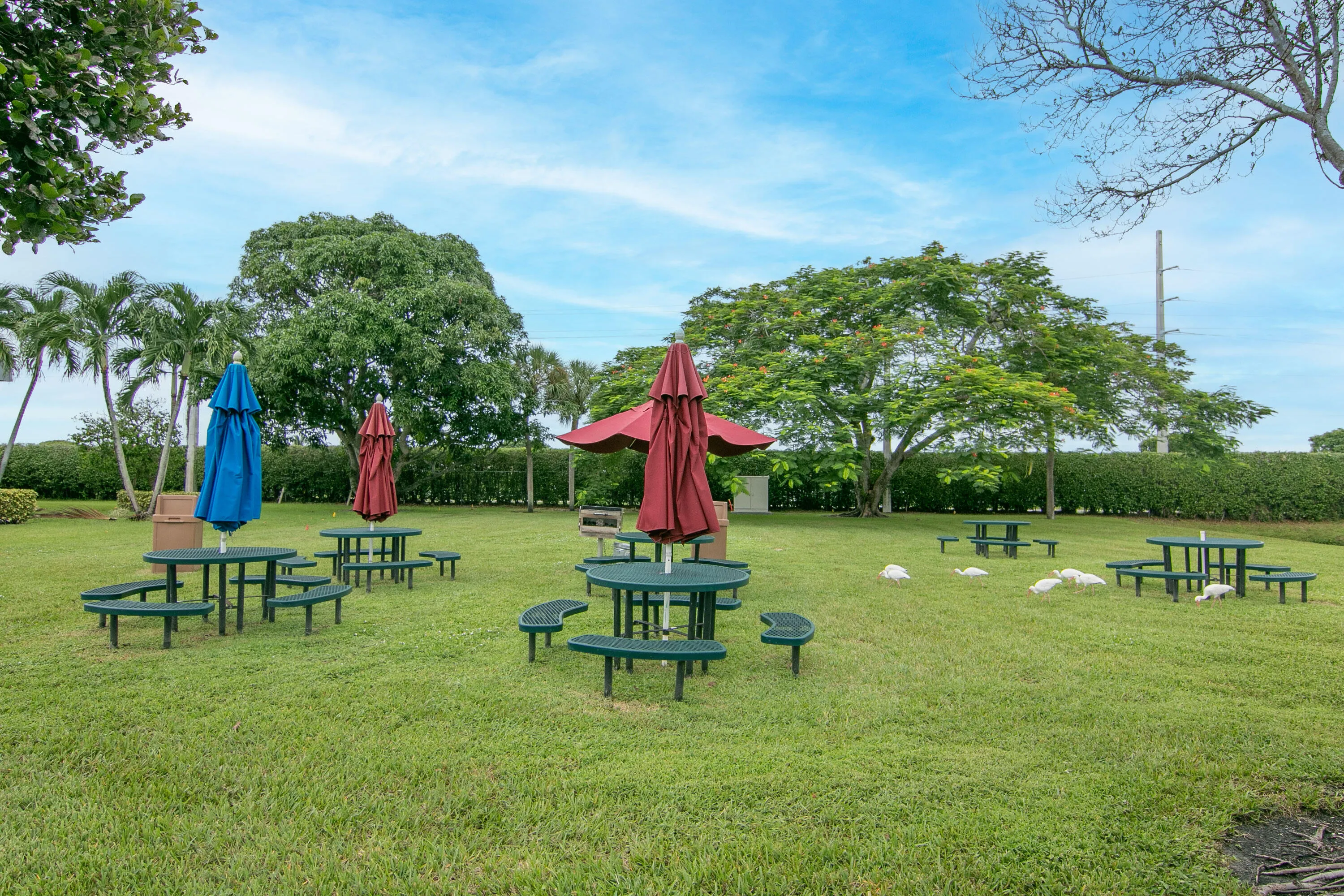 PARK AREA