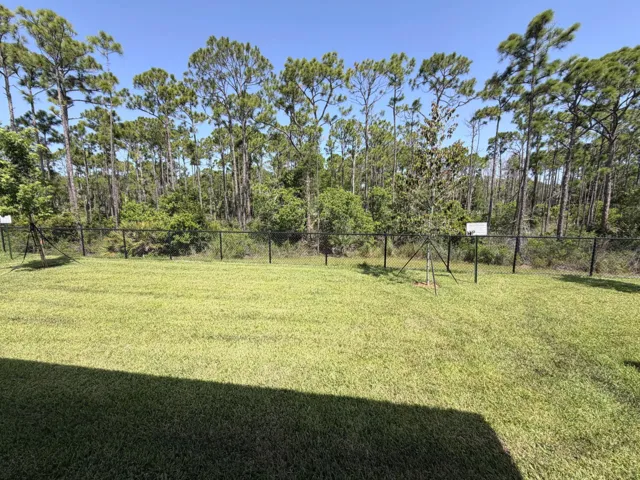 Lot 8 backyard