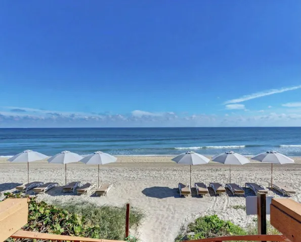 100-web-or-mls-IMG_2300