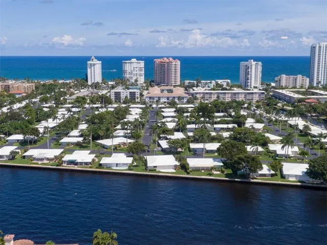 Palm Club on the Island