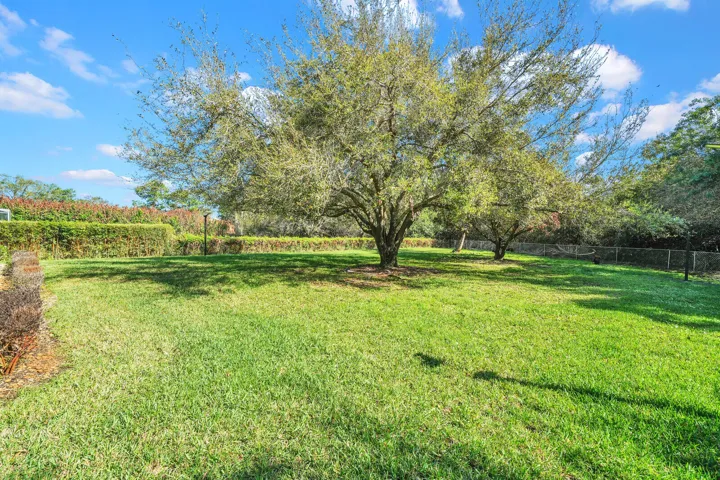Tons of Yard space to Build more!