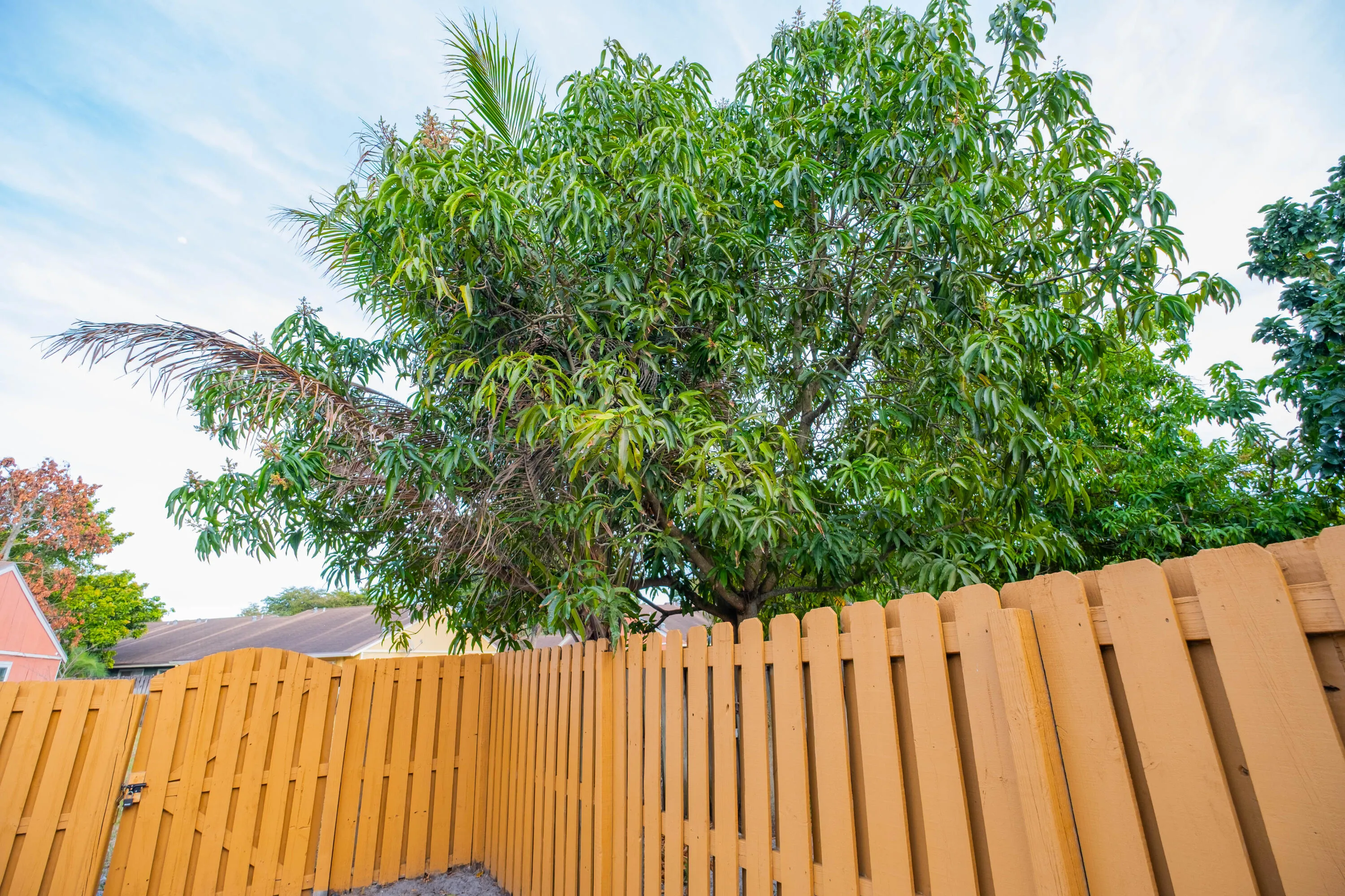 4763 ORLEANS_GARDEN2