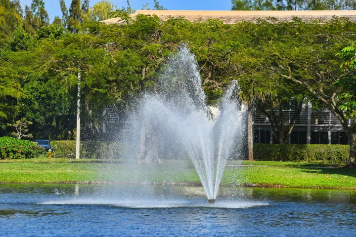 DSC_3105