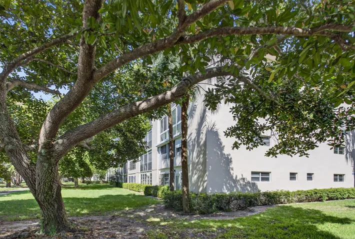 2-web-or-mls-2102-7077