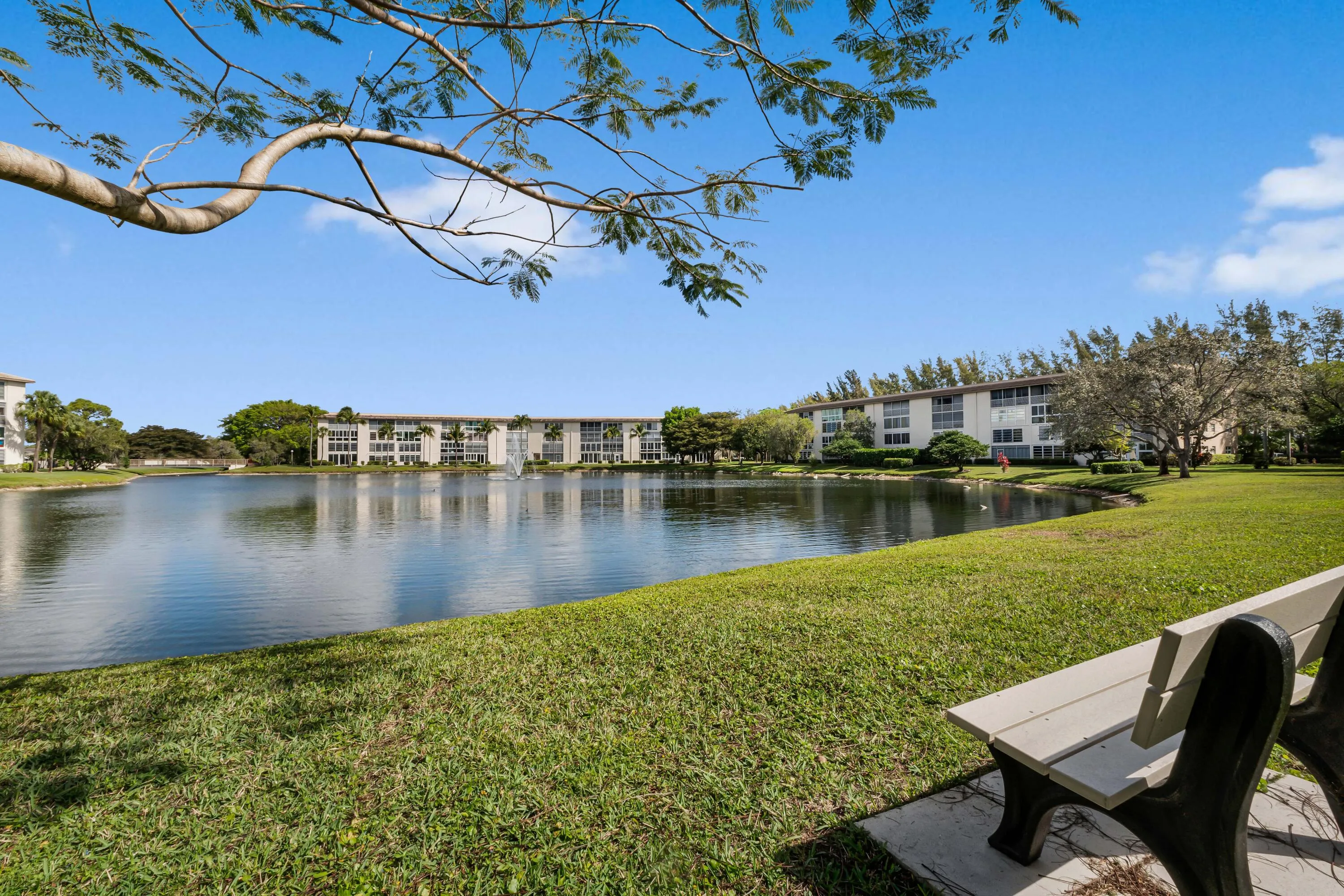 Lake view