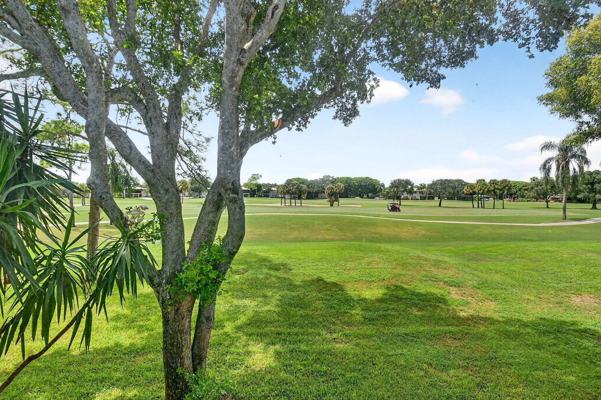 Golf Course View