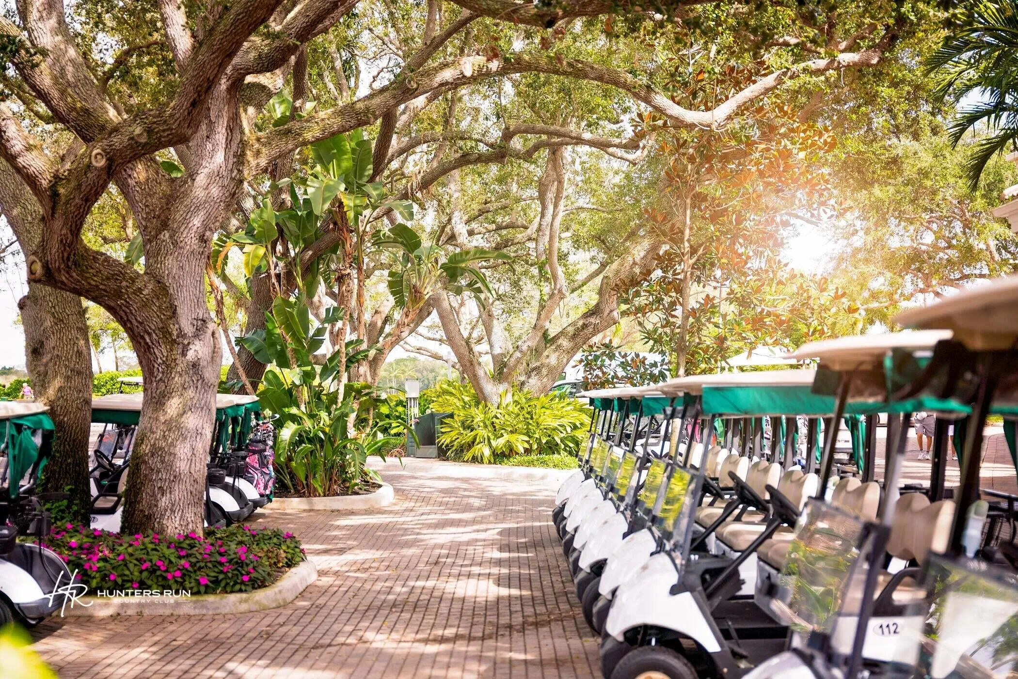 Golf Cart Area