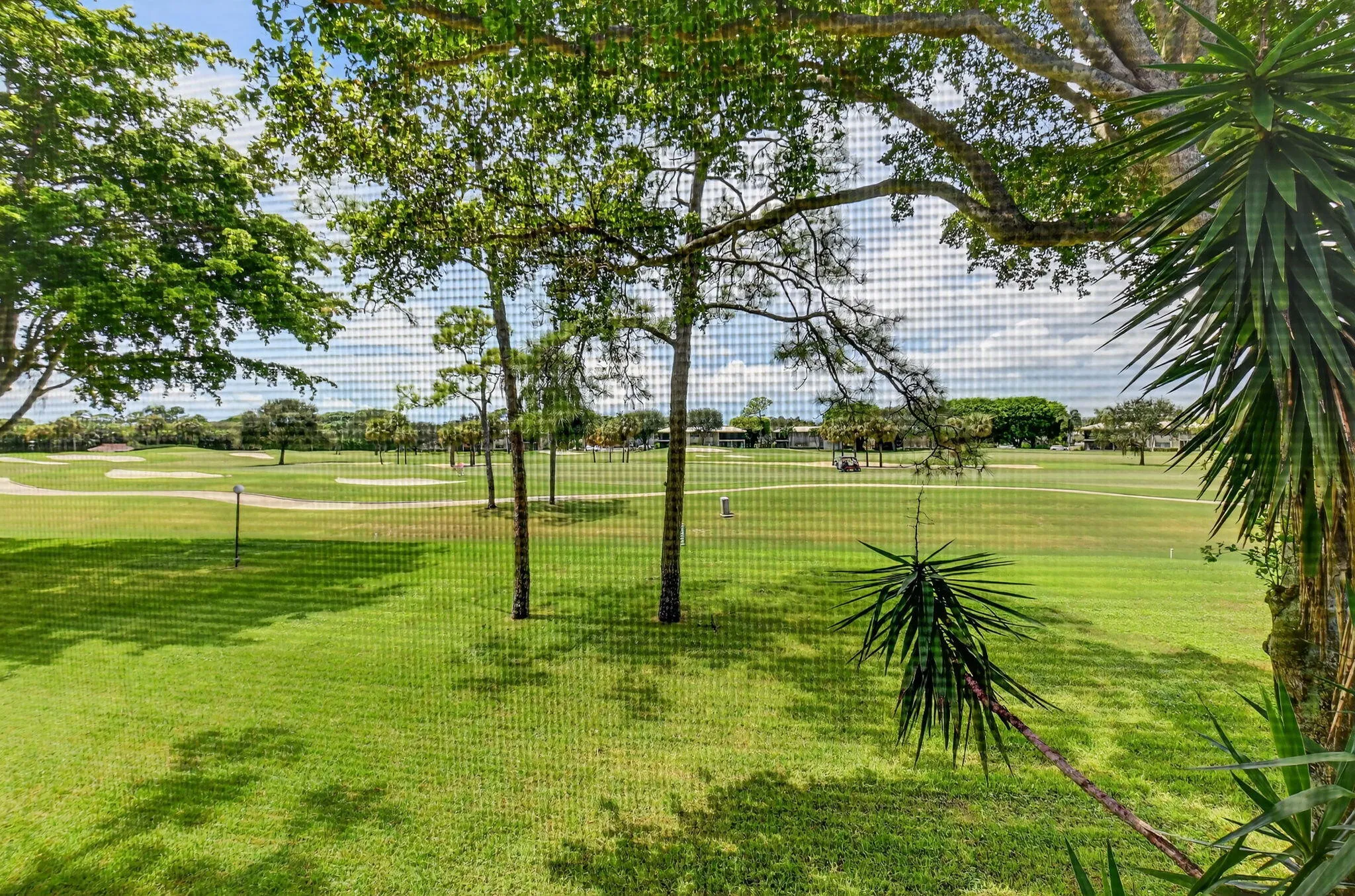 Golf Course View