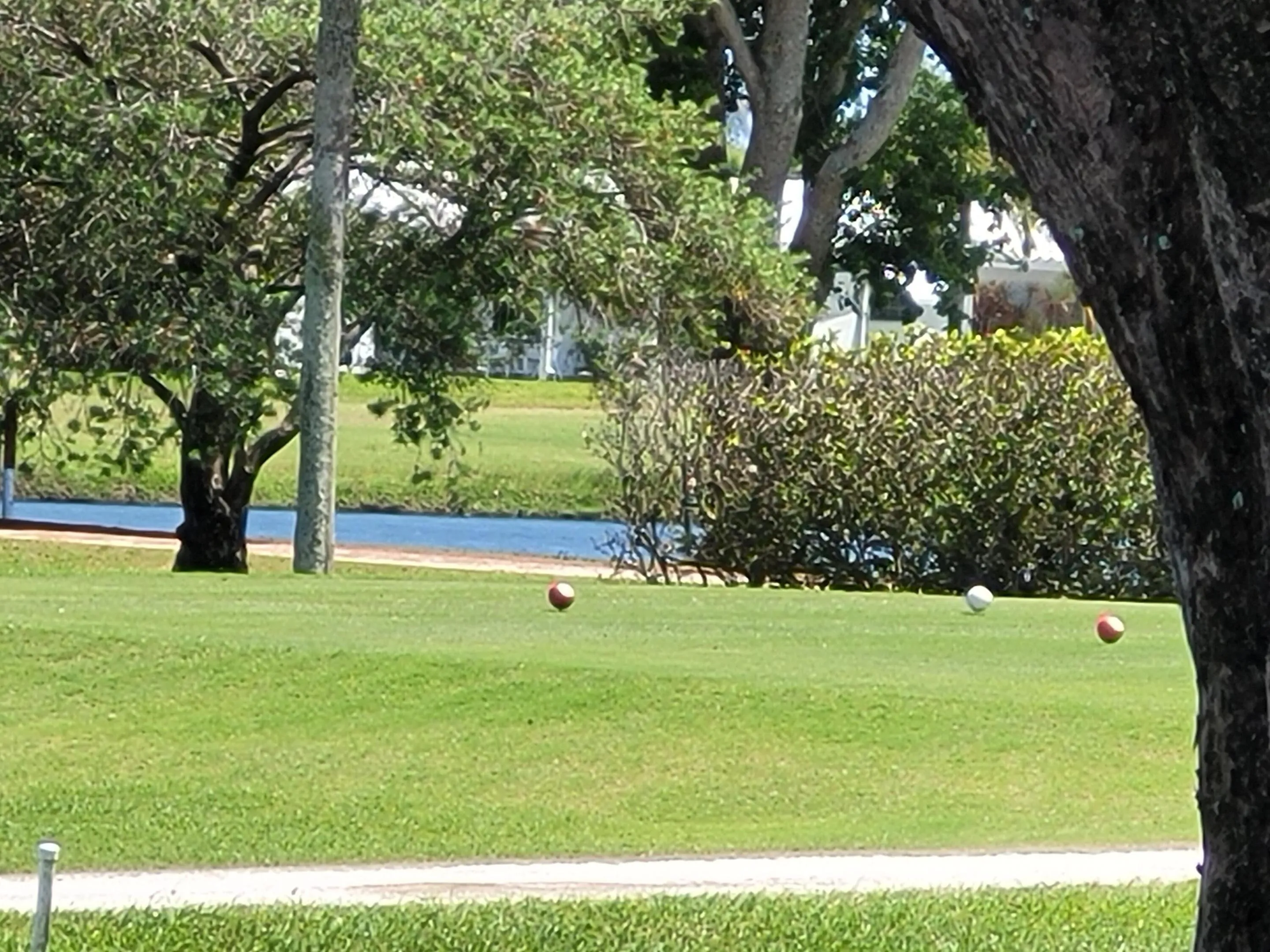 View of 17th fairway from backyard