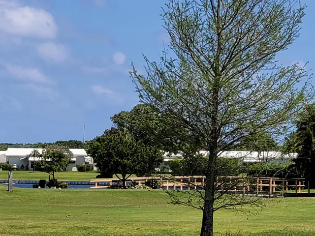 Golfcourse