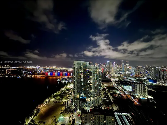 South view at night, Skyline, Downtown and Brickell