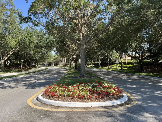Tree-lined main drive
