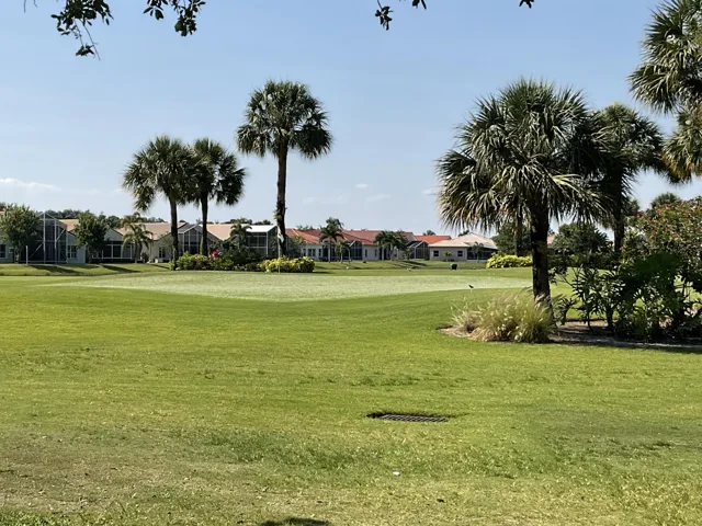 Golf, too!