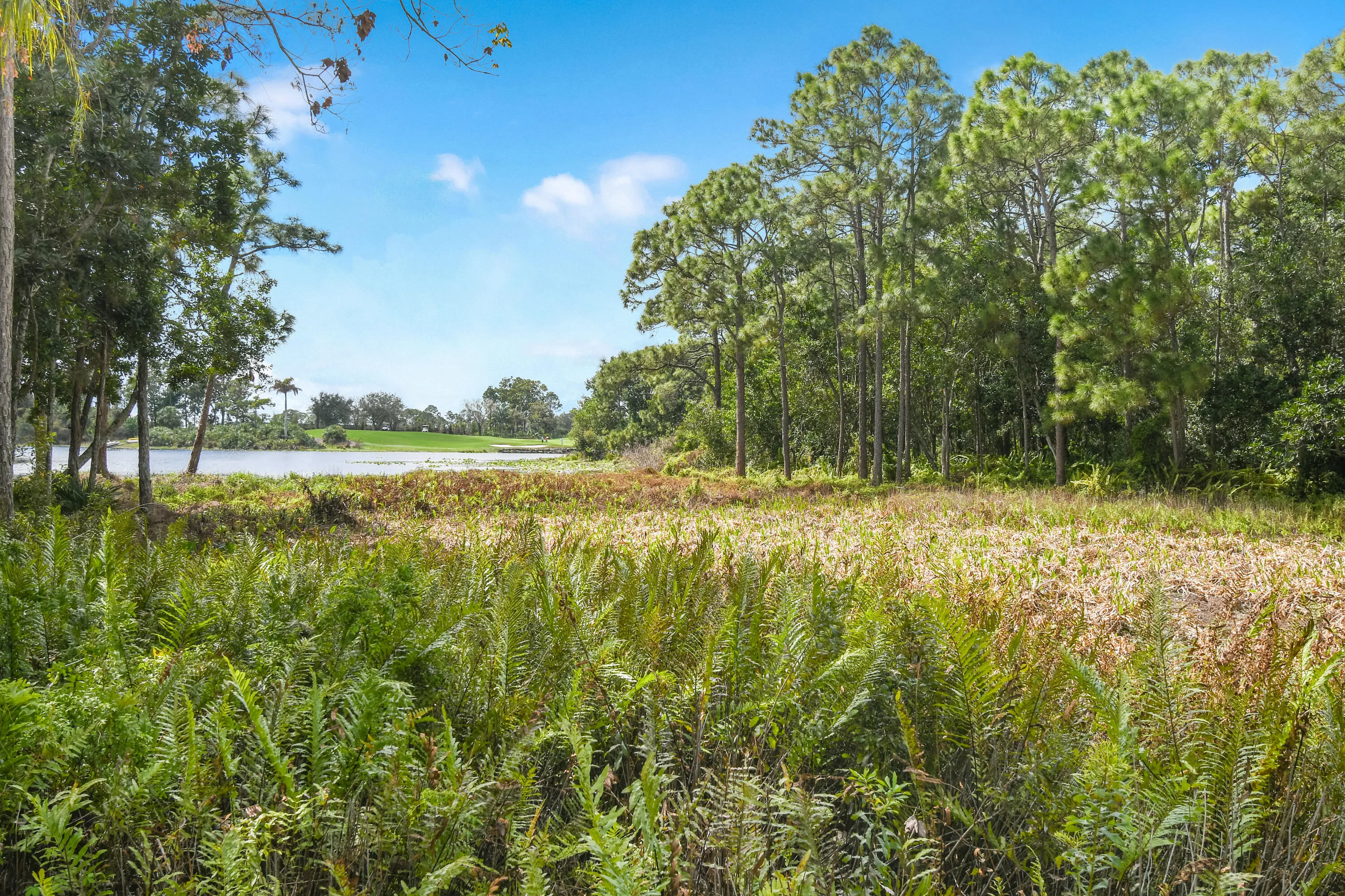 Property photo 69