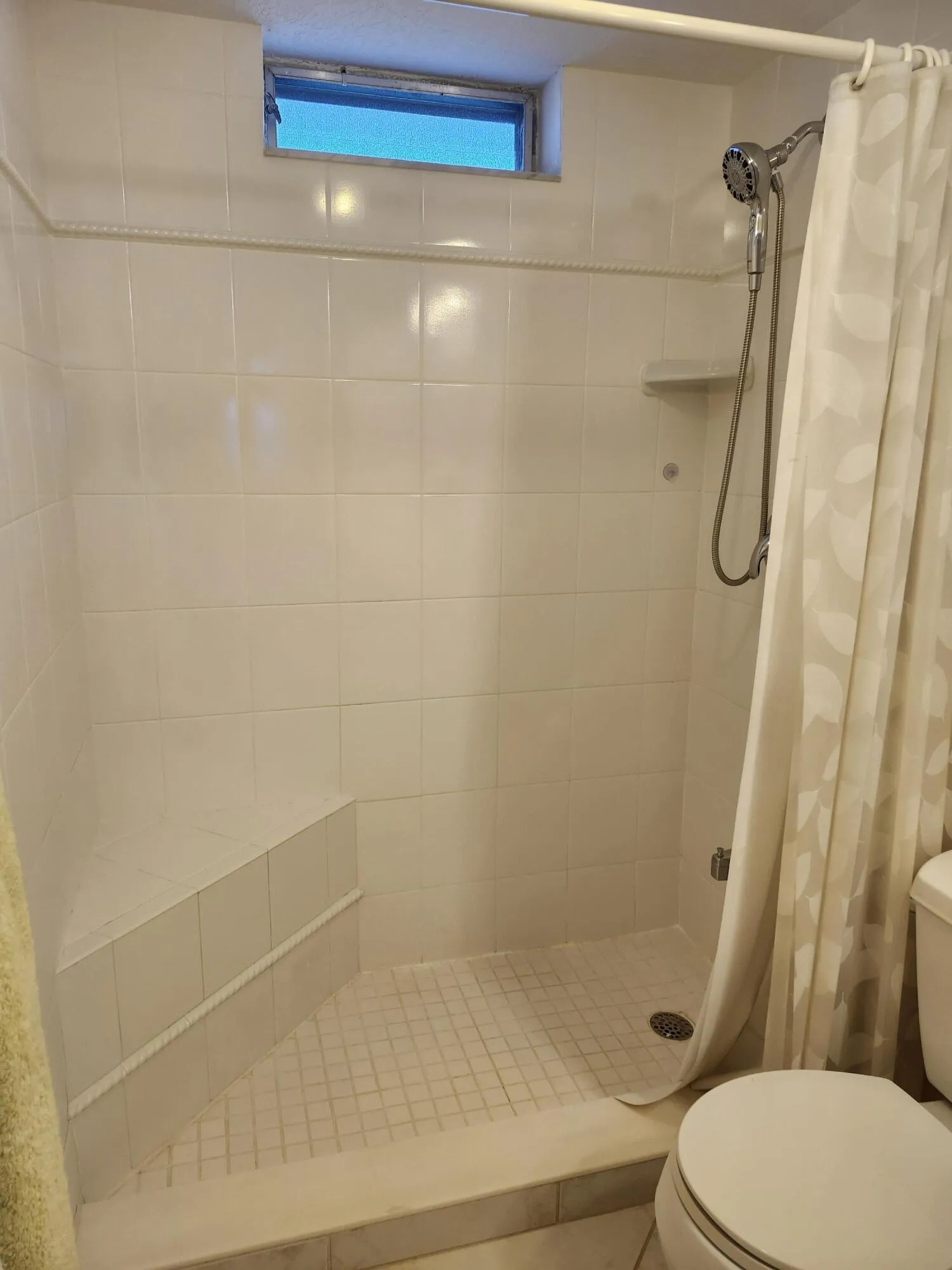 Master Shower
