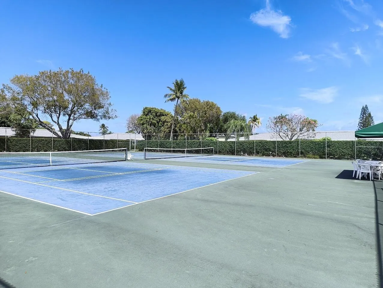 TennisPlusPickleBall