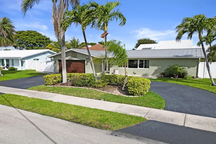 DSC3978