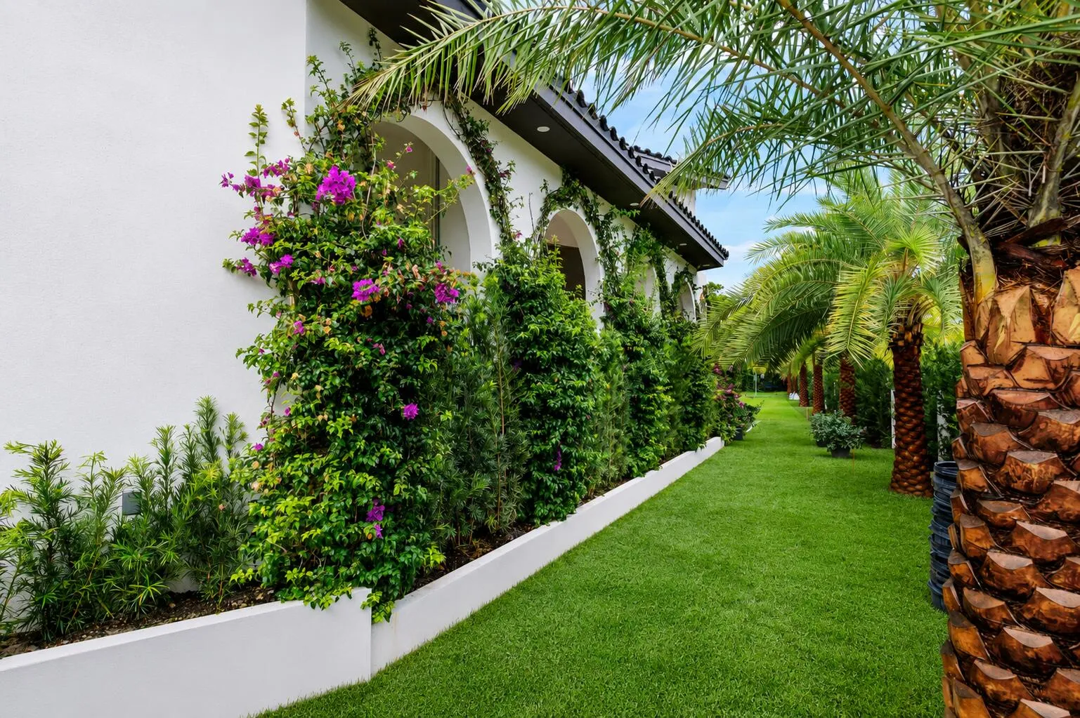 1_AI Enhanced Side Yard